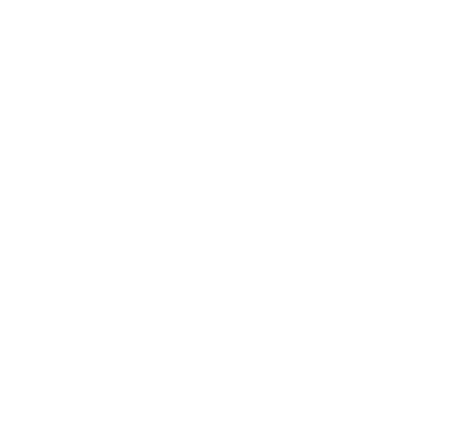 Studio Moss